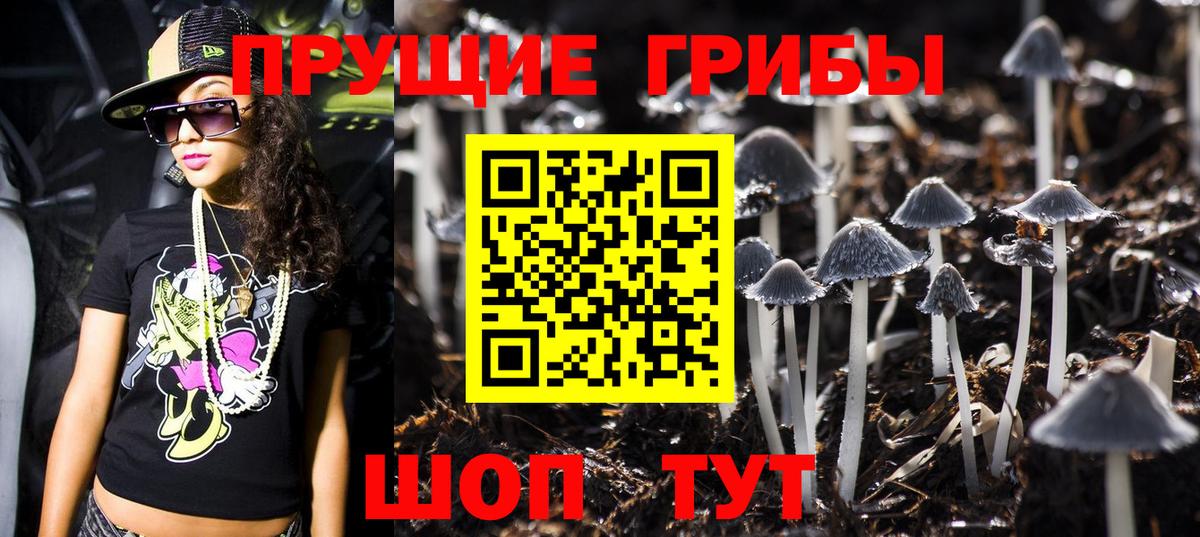 Галлюциногенные грибы Psilocybe Вичуга